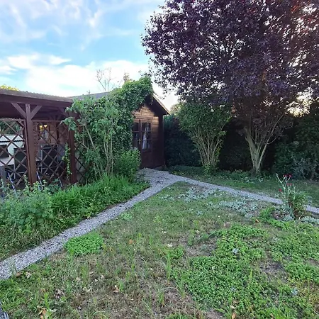 Haus 5 Elemente- Wasser Mit Terrasse Und Bio-kamin Lejlighed Koserow